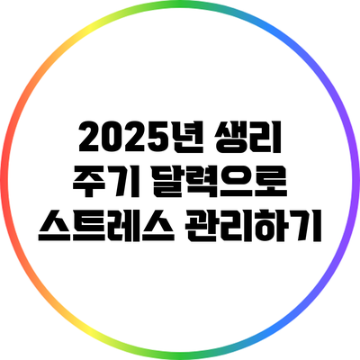 2025년 생리 주기 달력으로 스트레스 관리하기