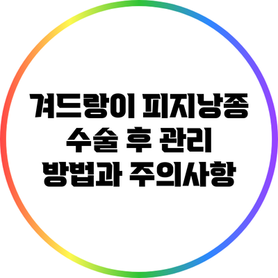 겨드랑이 피지낭종 수술 후 관리 방법과 주의사항