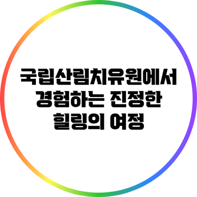 국립산림치유원에서 경험하는 진정한 힐링의 여정