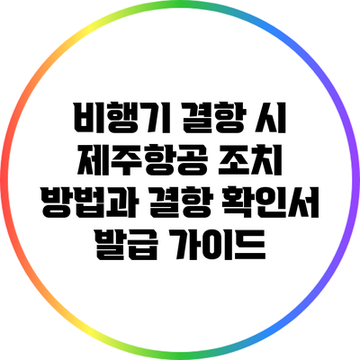 비행기 결항 시 제주항공 조치 방법과 결항 확인서 발급 가이드