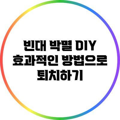 빈대 박멸 DIY: 효과적인 방법으로 퇴치하기