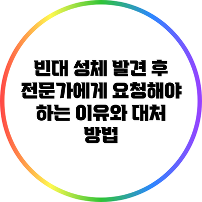 빈대 성체 발견 후 전문가에게 요청해야 하는 이유와 대처 방법