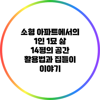 소형 아파트에서의 1인 1묘 삶: 14평의 공간 활용법과 집들이 이야기