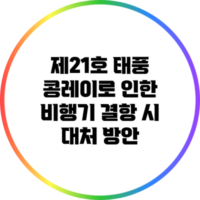 제21호 태풍 콩레이로 인한 비행기 결항 시 대처 방안