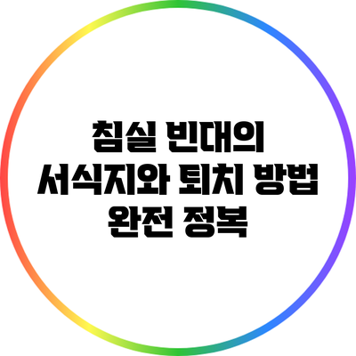 침실 빈대의 서식지와 퇴치 방법 완전 정복