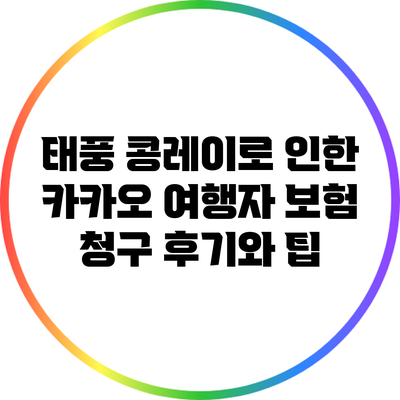 태풍 콩레이로 인한 카카오 여행자 보험 청구 후기와 팁