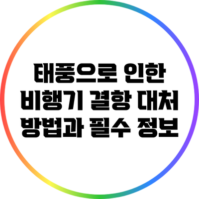 태풍으로 인한 비행기 결항 대처 방법과 필수 정보