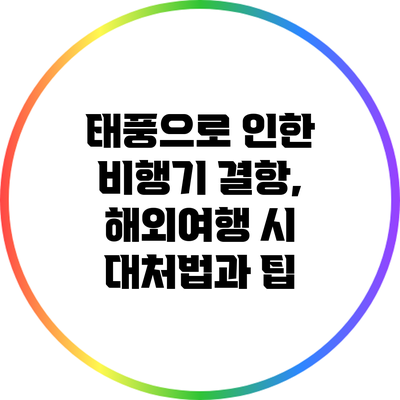 태풍으로 인한 비행기 결항, 해외여행 시 대처법과 팁