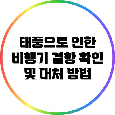 태풍으로 인한 비행기 결항 확인 및 대처 방법