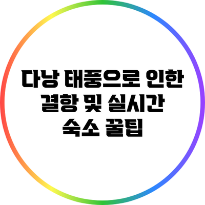 다낭 태풍으로 인한 결항 및 실시간 숙소 꿀팁