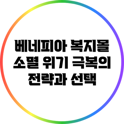 베네피아 복지몰 소멸 위기 극복의 전략과 선택