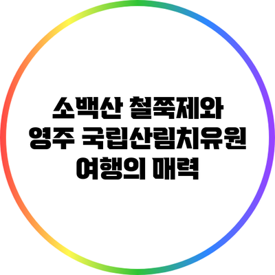 소백산 철쭉제와 영주 국립산림치유원 여행의 매력