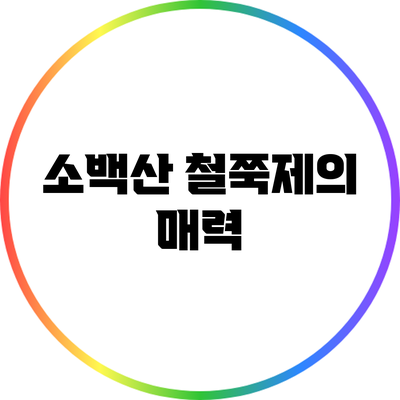 소백산 철쭉제의 매력