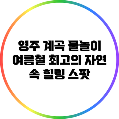 영주 계곡 물놀이: 여름철 최고의 자연 속 힐링 스팟
