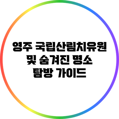 영주 국립산림치유원 및 숨겨진 명소 탐방 가이드