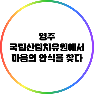 영주 국립산림치유원에서 마음의 안식을 찾다