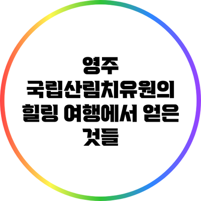 영주 국립산림치유원의 힐링 여행에서 얻은 것들