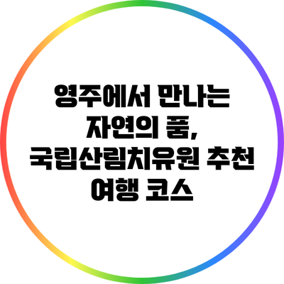 영주에서 만나는 자연의 품, 국립산림치유원 추천 여행 코스