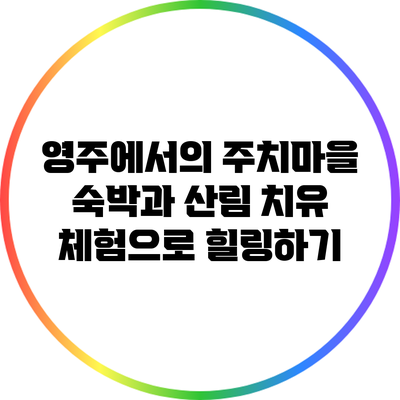 영주에서의 주치마을 숙박과 산림 치유 체험으로 힐링하기