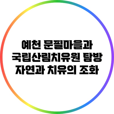 예천 문필마을과 국립산림치유원 탐방: 자연과 치유의 조화