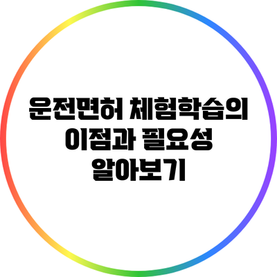 운전면허 체험학습의 이점과 필요성 알아보기