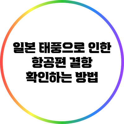 일본 태풍으로 인한 항공편 결항 확인하는 방법