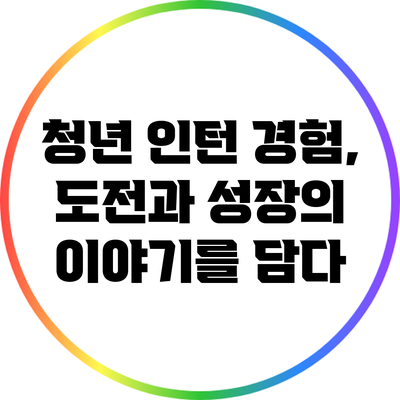 청년 인턴 경험, 도전과 성장의 이야기를 담다
