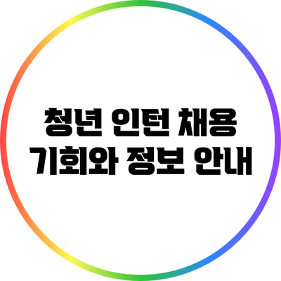 청년 인턴 채용: 기회와 정보 안내