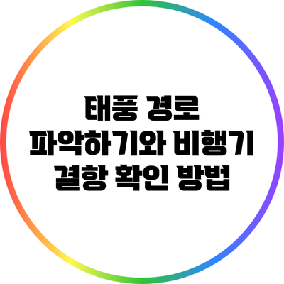 태풍 경로 파악하기와 비행기 결항 확인 방법