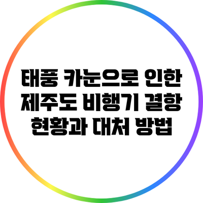 태풍 카눈으로 인한 제주도 비행기 결항 현황과 대처 방법