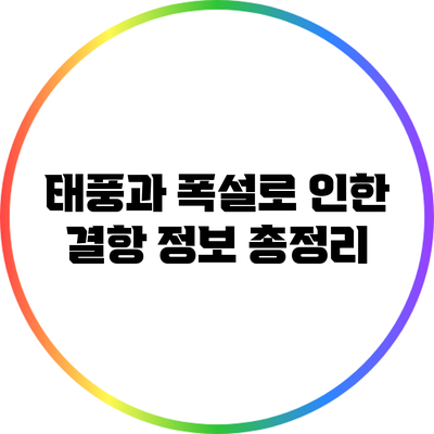 태풍과 폭설로 인한 결항 정보 총정리