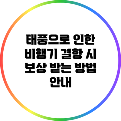 태풍으로 인한 비행기 결항 시 보상 받는 방법 안내