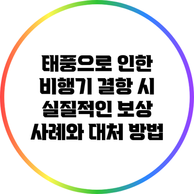 태풍으로 인한 비행기 결항 시 실질적인 보상 사례와 대처 방법