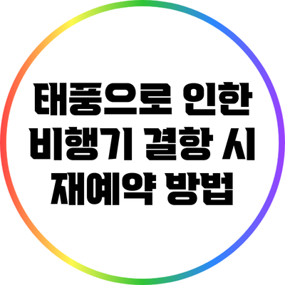 태풍으로 인한 비행기 결항 시 재예약 방법