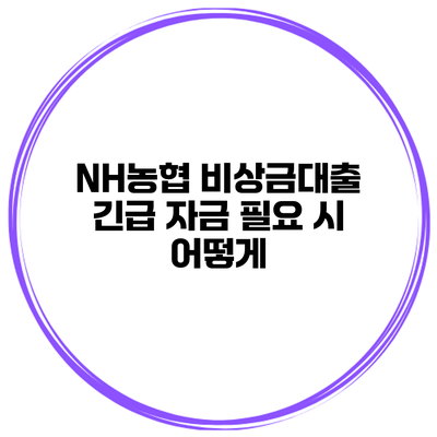 NH농협 비상금대출 긴급 자금 필요 시 어떻게?