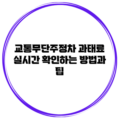 교통무단주정차 과태료 실시간 확인하는 방법과 팁