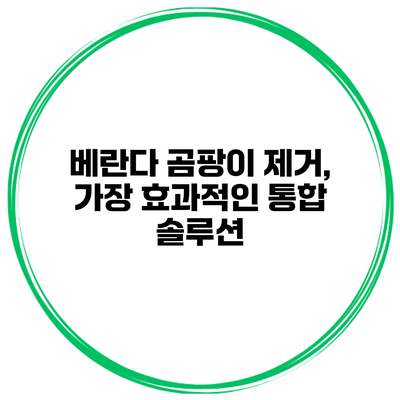 베란다 곰팡이 제거, 가장 효과적인 통합 솔루션