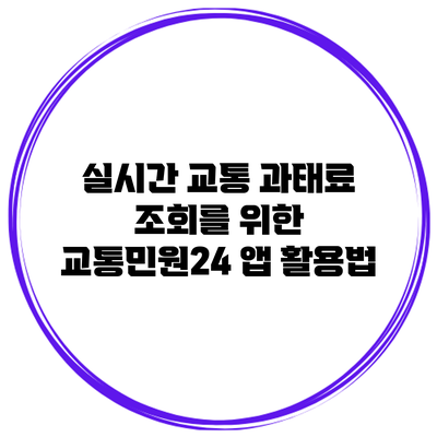 실시간 교통 과태료 조회를 위한 교통민원24 앱 활용법