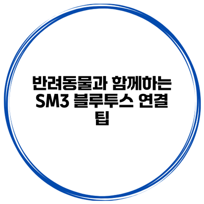 반려동물과 함께하는 SM3 블루투스 연결 팁